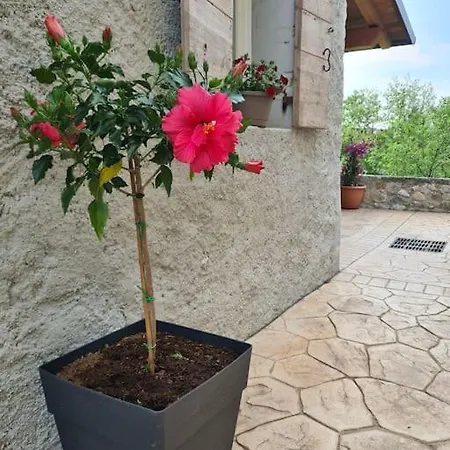 La Casetta Di Adele Feriehus *
